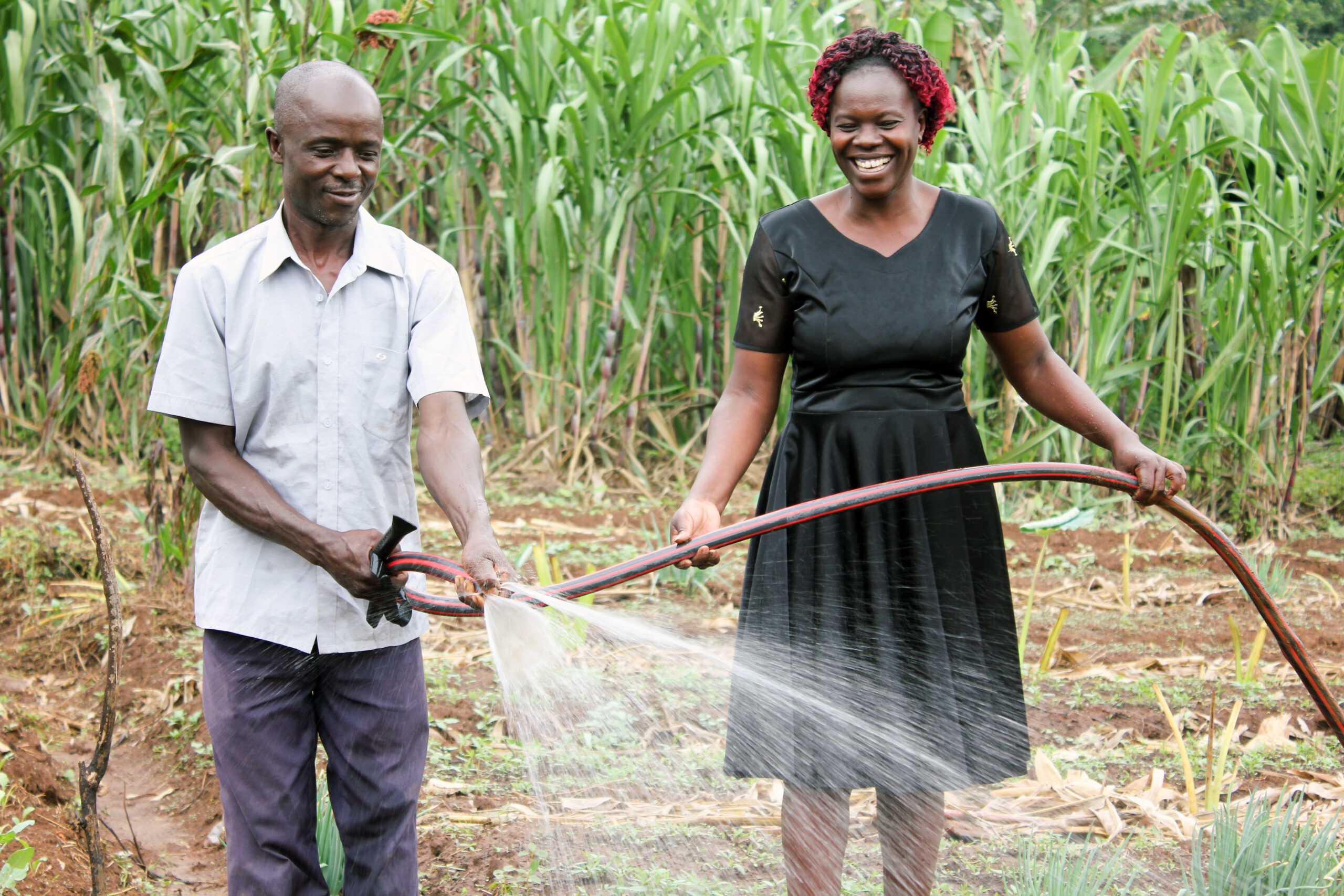 African smallholder farmers irrigation